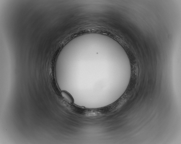 X0000116680754200912141005