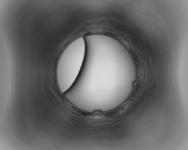 X0000116680755200912141005