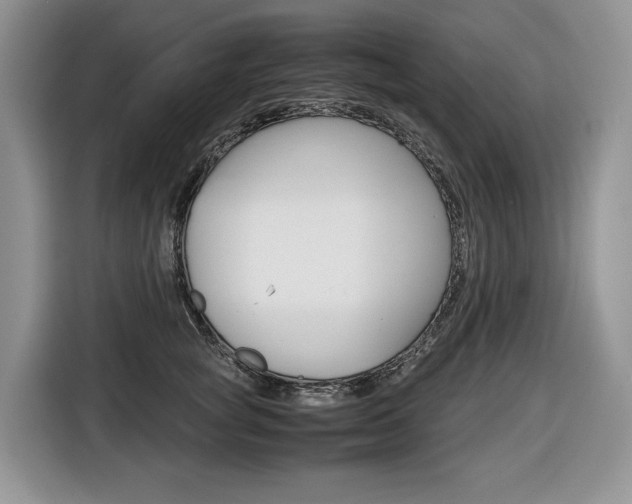 X0000116680757200912141005