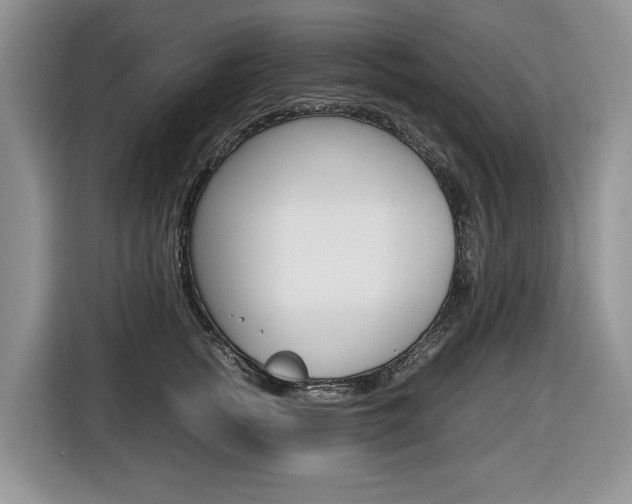 X0000116680758200912141005