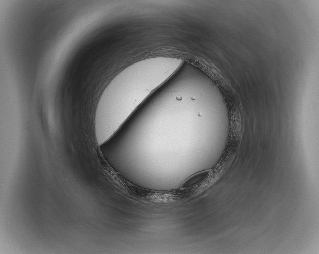 X0000116680762200912141005