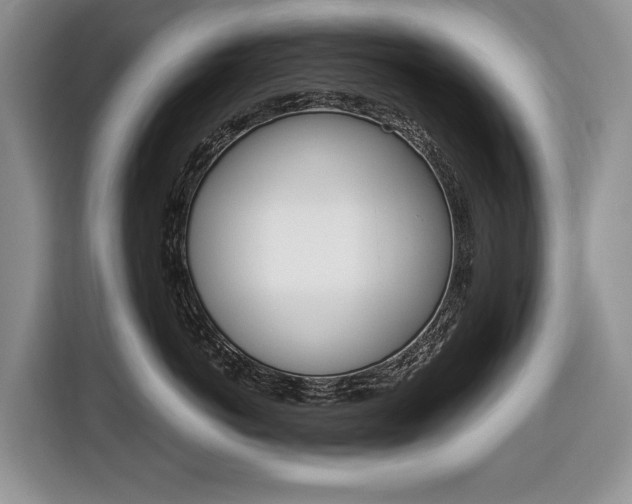 X0000116680766200912141005