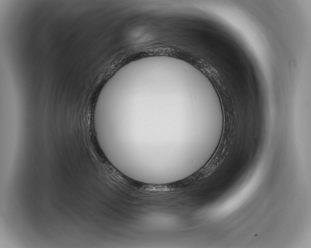 X0000116680767200912141005