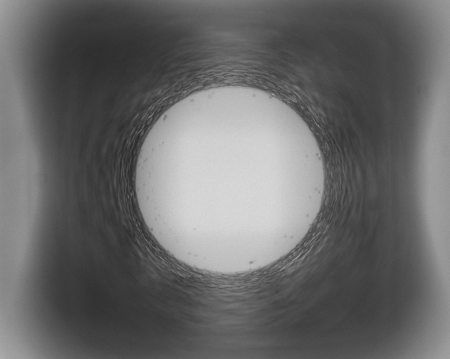 X0000116680769200912141004