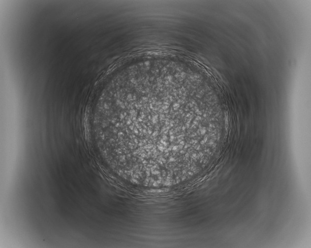 X0000116680770200912141004