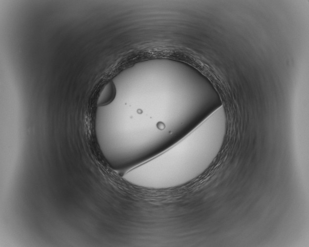 X0000116680772200912141004