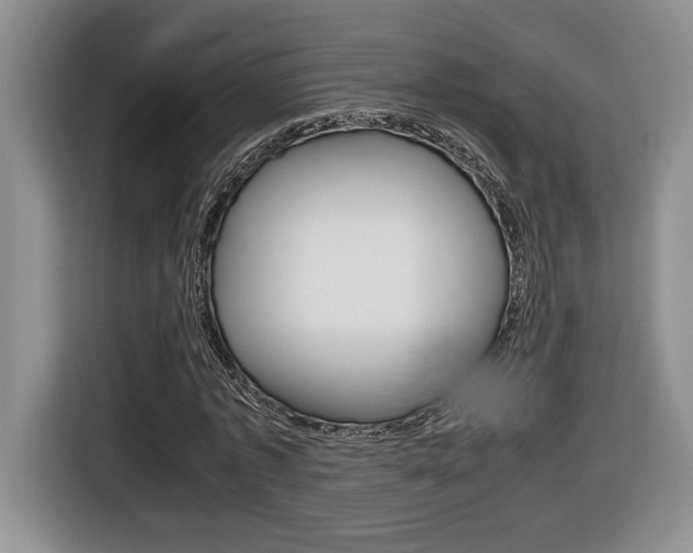 X0000116680773200912141004