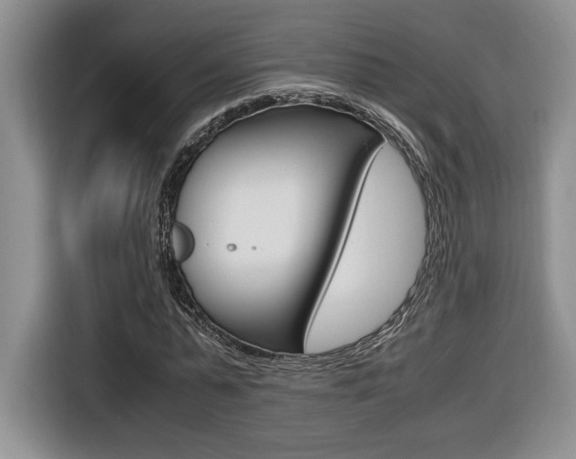 X0000116680775200912141004