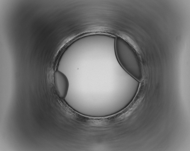 X0000116680781200912141004