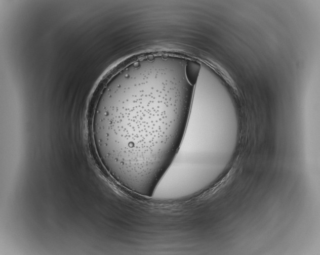 X0000116680784200912141004