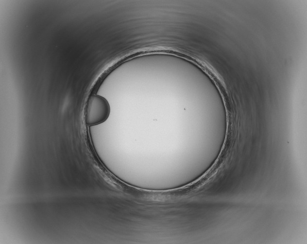 X0000116680789200912141004