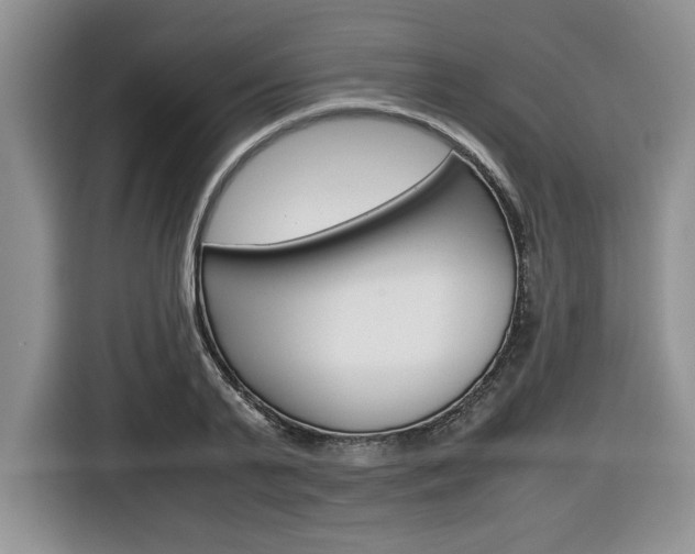 X0000116680791200912141004