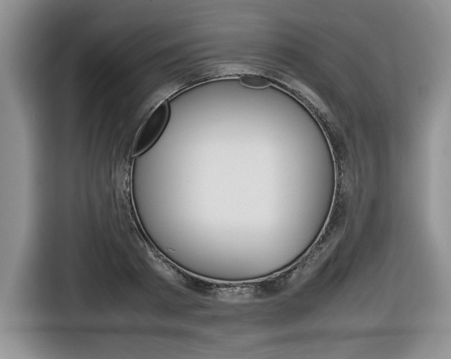 X0000116680793200912141004