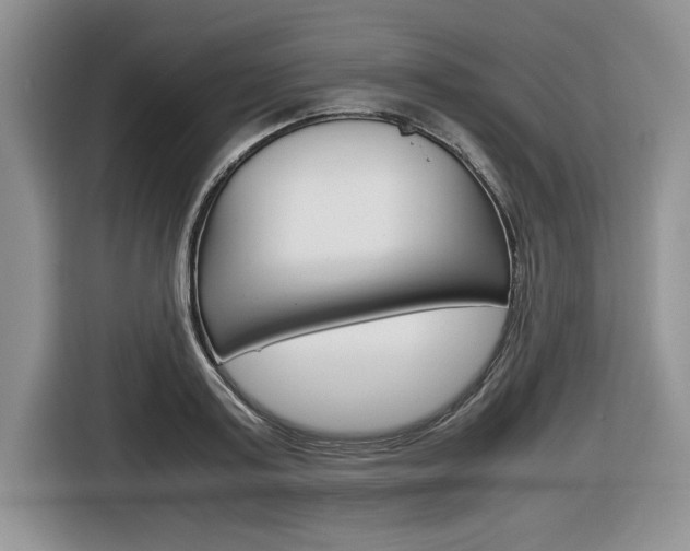 X0000116680795200912141004