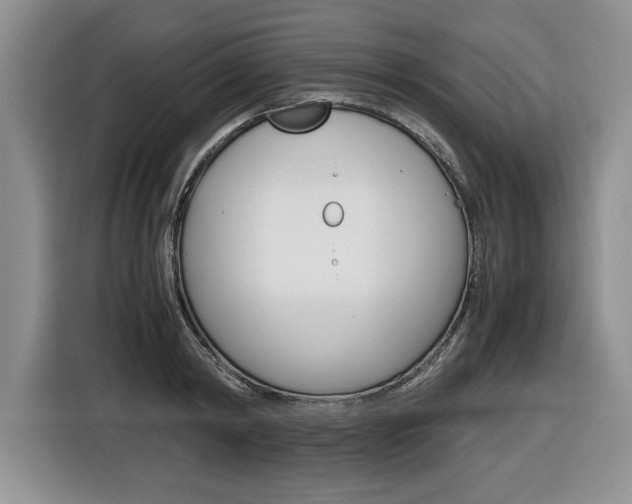 X0000116680798200912141004