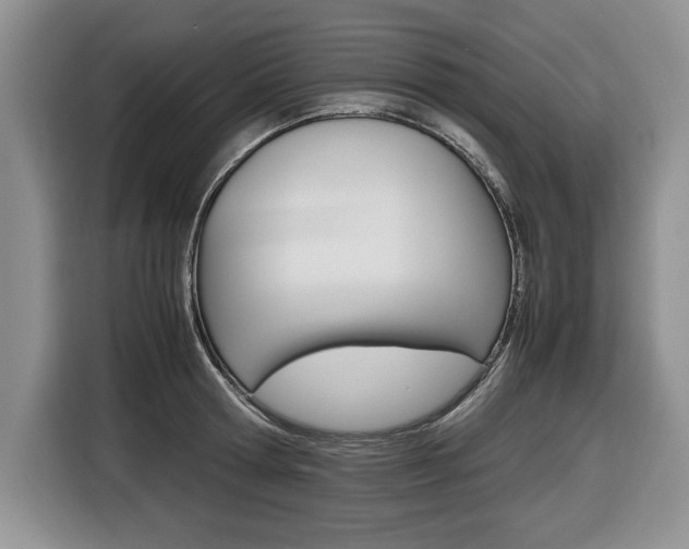 X0000116680802200912141004