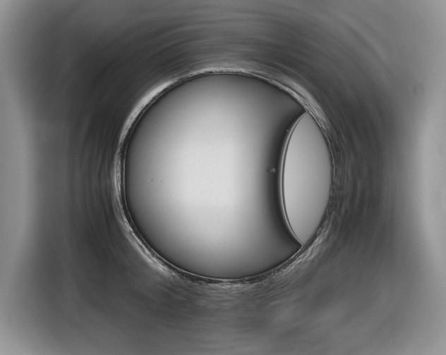 X0000116680804200912141004