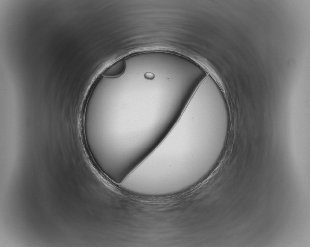 X0000116680805200912141004