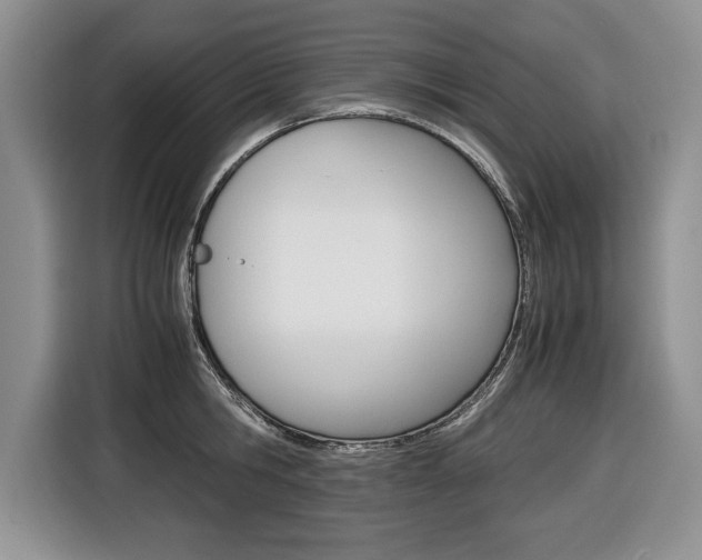 X0000116680806200912141004