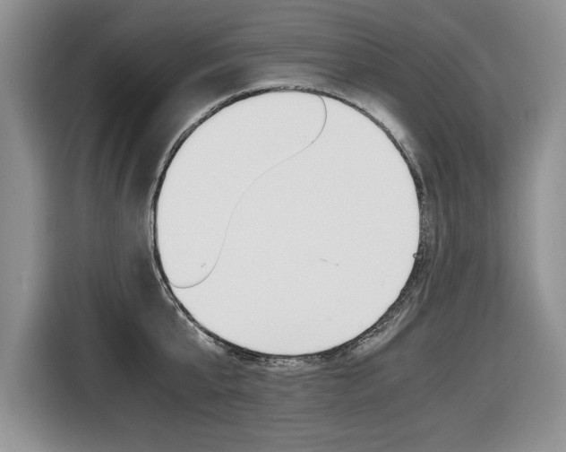 X0000116680807200912141004