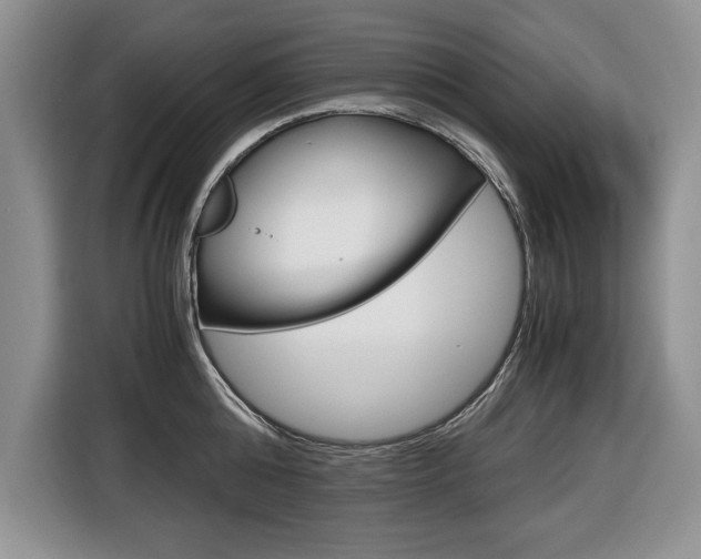 X0000116680808200912141004