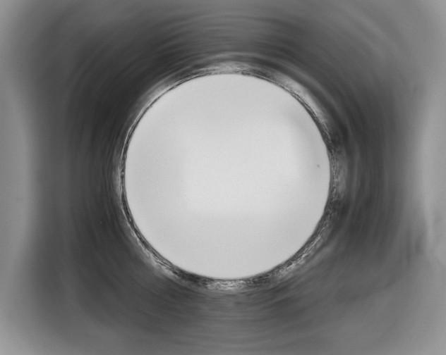 X0000116680810200912141004