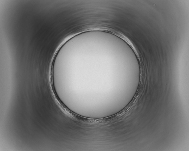 X0000116680811200912141004