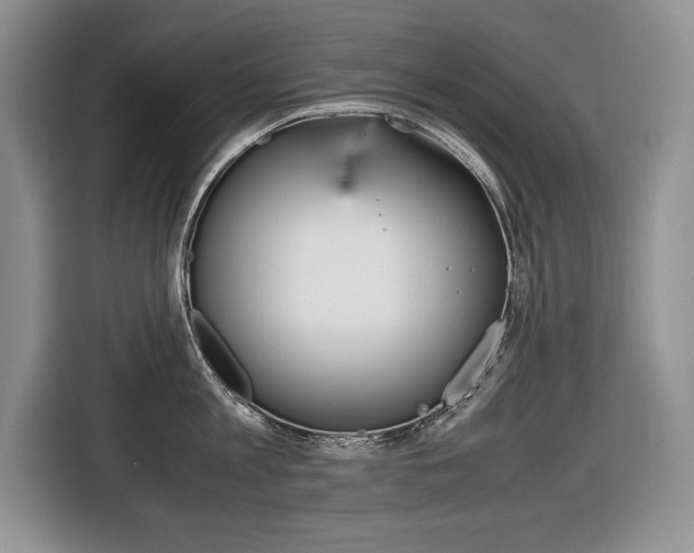 X0000116680813200912141004