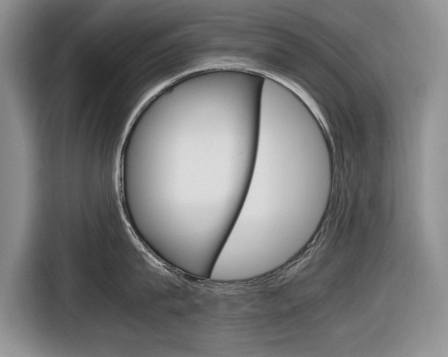 X0000116680815200912141004
