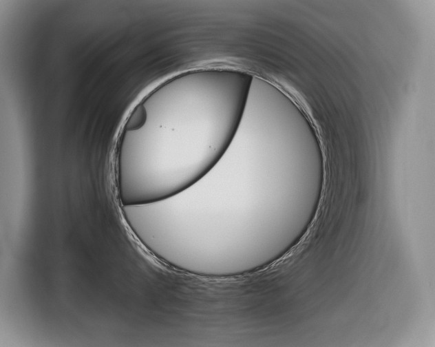X0000116680816200912141004