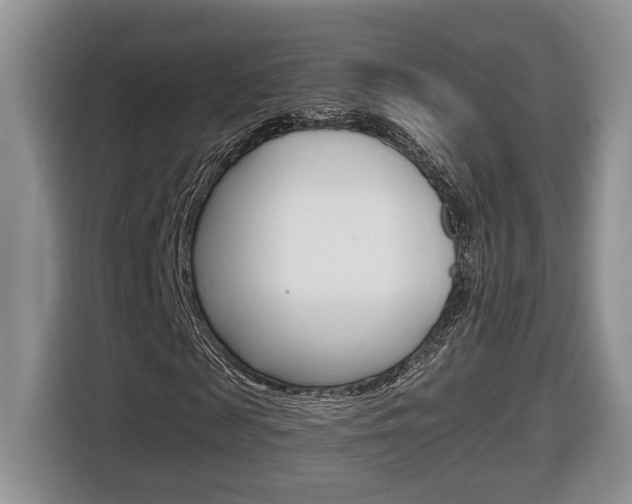 X0000116680817200912141003