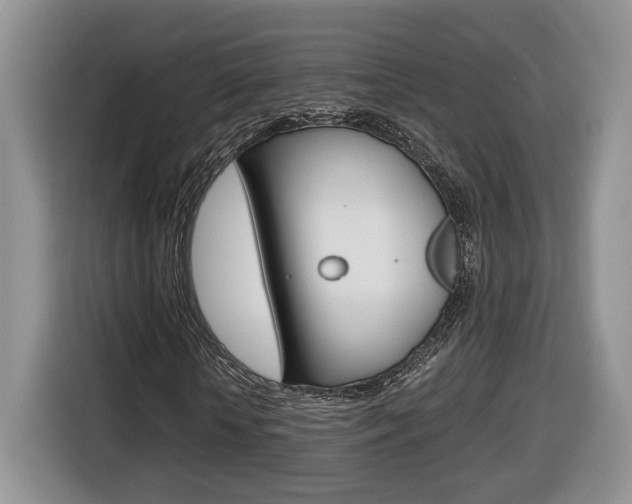 X0000116680818200912141003