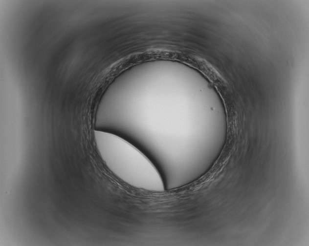 X0000116680821200912141003