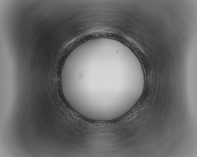 X0000116680822200912141003