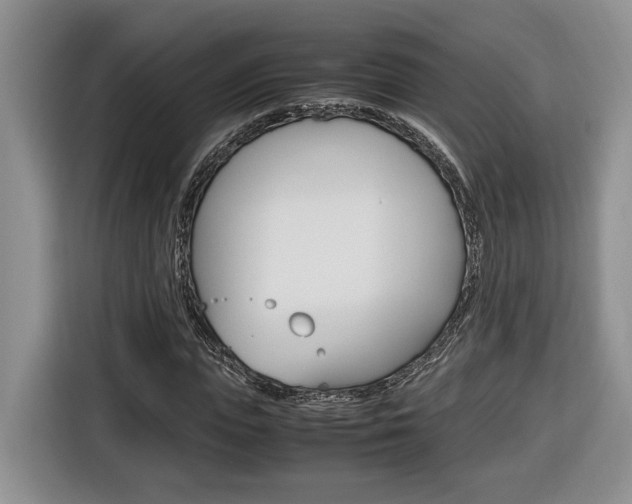 X0000116680823200912141003