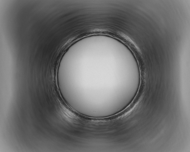 X0000116680825200912141003