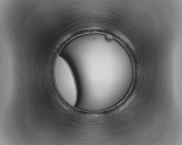 X0000116680826200912141003