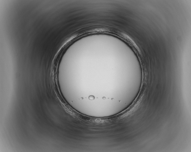 X0000116680827200912141003