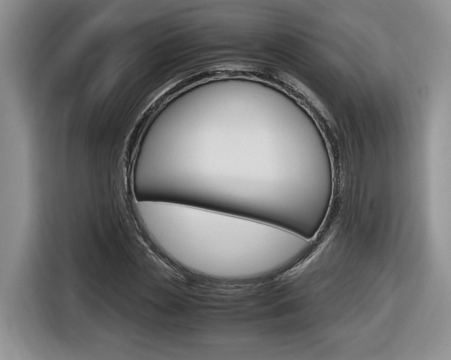 X0000116680829200912141003