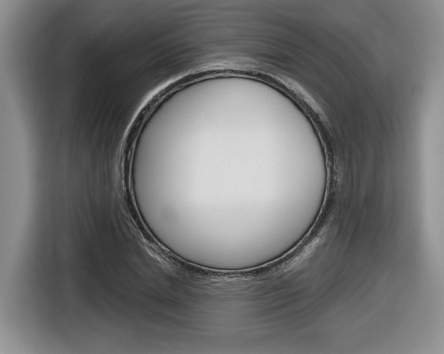 X0000116680830200912141003
