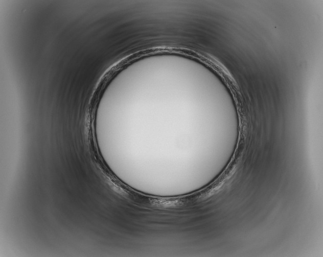 X0000116680831200912141003