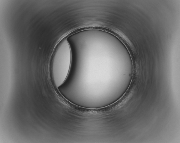 X0000116680834200912141003