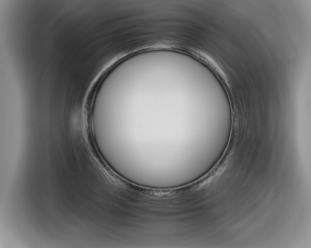 X0000116680835200912141003