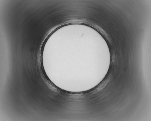 X0000116680836200912141004