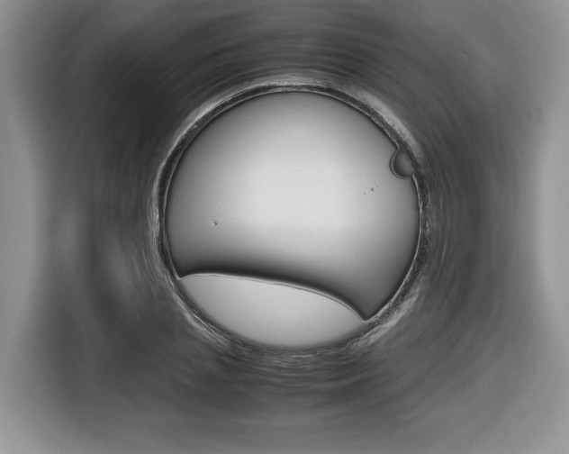 X0000116680837200912141004