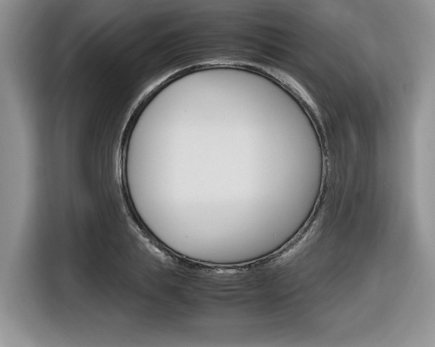 X0000116680839200912141004