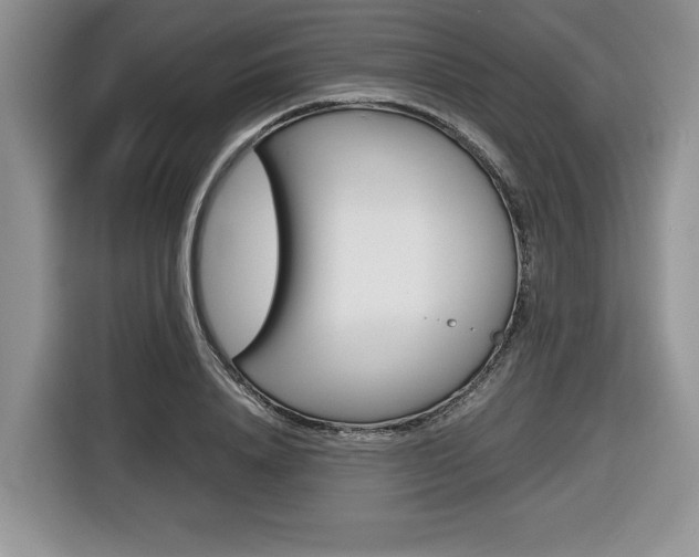 X0000116680840200912141004
