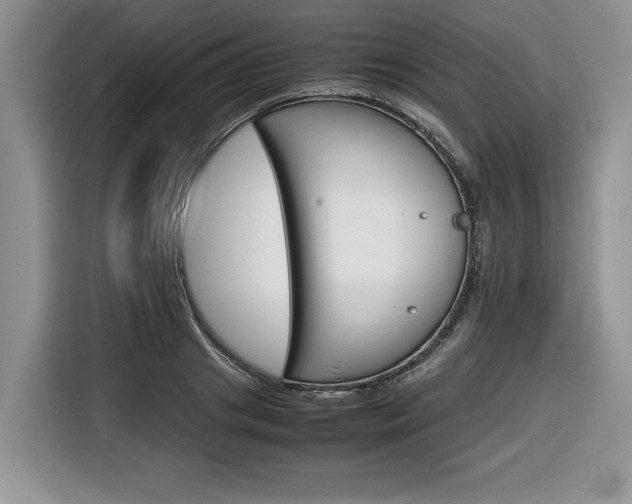 X0000116680841200912141004