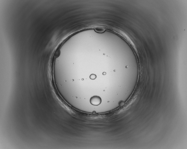 X0000116680843200912141004