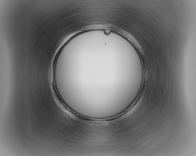 X0000116680844200912141004